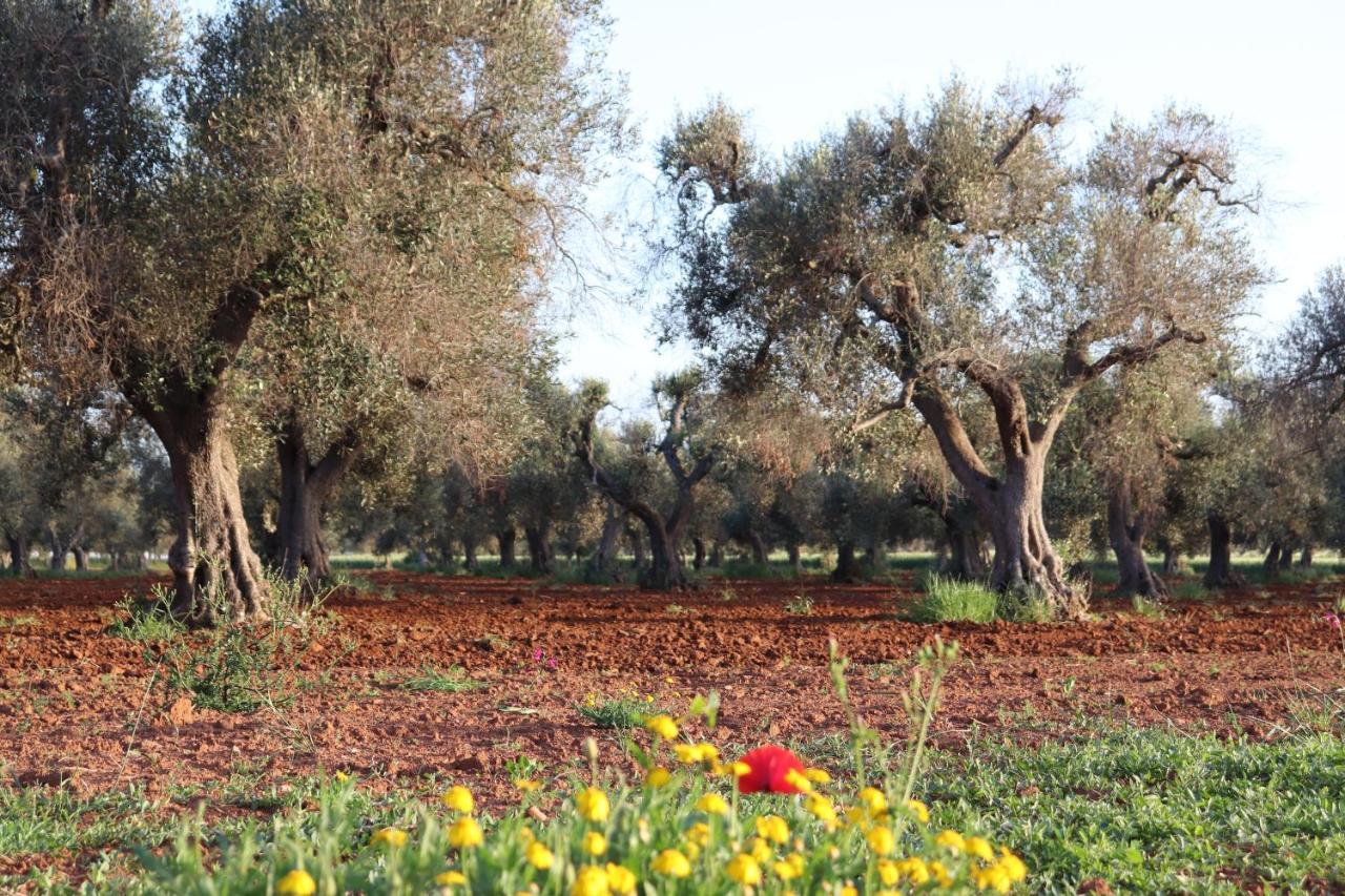 B&B Passione Del Sud Lecce Exterior photo